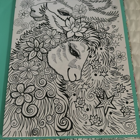 Coloring book - Picture 6 of 8